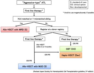 Diagnostic Approaches and Established Treatments for Adult T Cell Leukemia Lymphoma